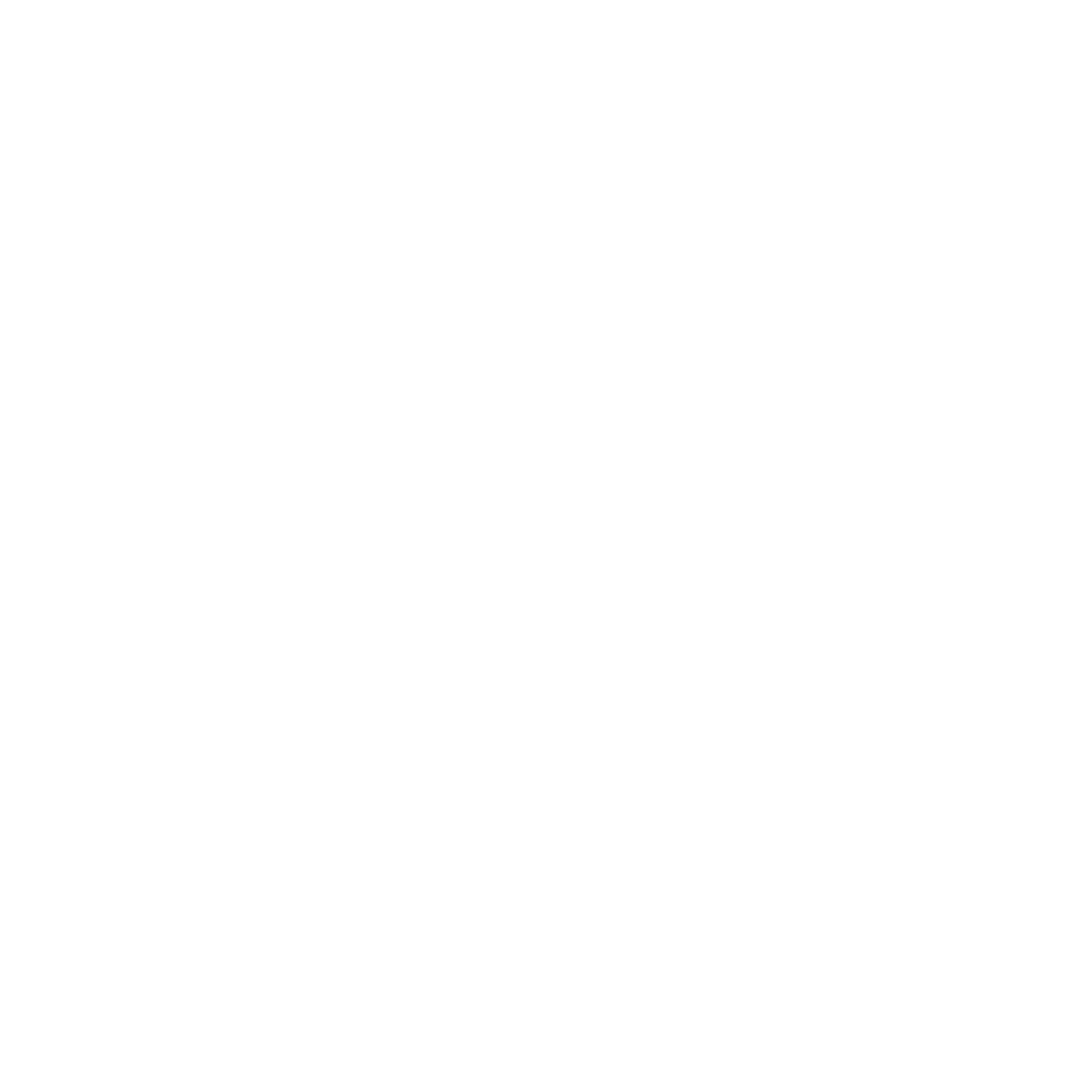 RT Media Co.